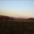 DSC01988.JPG