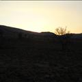 DSC01990.JPG