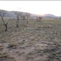 DSC01991.JPG