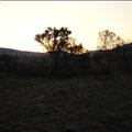 DSC01992.JPG