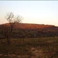 DSC01993.JPG