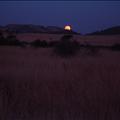 DSC02021.JPG