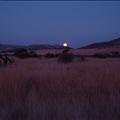 DSC02023.JPG