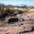 DSC02067.JPG