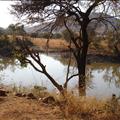 DSC02076.JPG