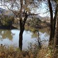 DSC02077.JPG
