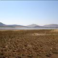 DSC02098.JPG