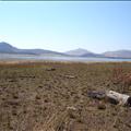 DSC02099.JPG