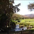 DSC01865.JPG