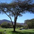 DSC01867.JPG