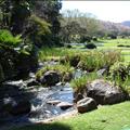 DSC01868.JPG