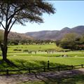 DSC01869.JPG