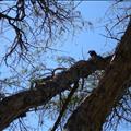 DSC01870.JPG