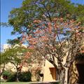 DSC01878.JPG