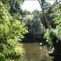 DSC01883.JPG