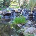 DSC02106.JPG
