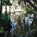 DSC02107.JPG