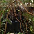 DSC02109.JPG