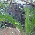 DSC02110.JPG