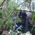 DSC02111.JPG