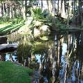 DSC02113.JPG