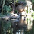 DSC02114.JPG