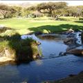 DSC02115.JPG