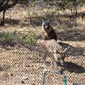 DSC02195.JPG