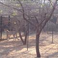 DSC02187.JPG
