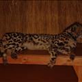 DSC02239.JPG