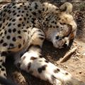 DSC02256.JPG