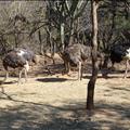 DSC02227.JPG