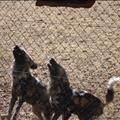 DSC02199.JPG