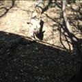 DSC02204.JPG