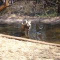 DSC02212.JPG