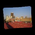 0813 Johannesburg