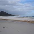 DSC02539.JPG