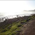 DSC02558.JPG