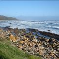 DSC02559.JPG