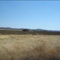 DSC01798.JPG