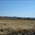 DSC01799.JPG
