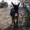 DSC00688.JPG