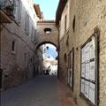 DSC00707.JPG