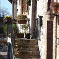 DSC00737.JPG