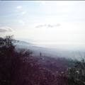 DSC00738.JPG