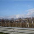 DSC00783.JPG