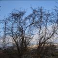 DSC00784.JPG