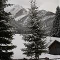 DSC01499.JPG