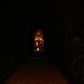 DSC00513.JPG