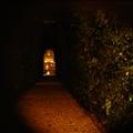 DSC00514.JPG